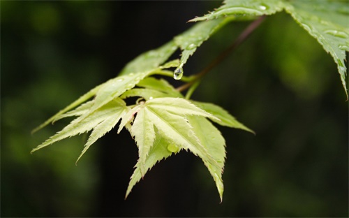 处女座的女生送什么礼物好,我是处女我的女儿处女座的礼物